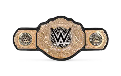 Heavyweight title fights